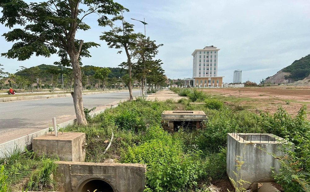 Một số khu vực đất trong khu vực dự án đã được trồng cây xanh. (Ảnh: Dân Việt).