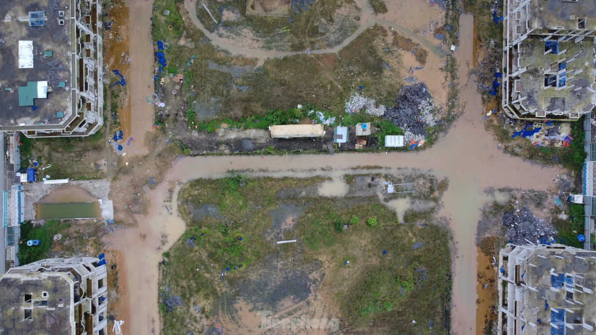 Phía trong khuôn viên dự án cỏ dại mọc um tùm, không bóng người, nhiều vị trí trũng nước, phế liệu nằm ngổn ngang. (Ảnh: Tiền Phong).