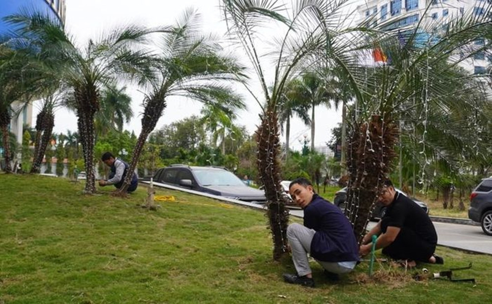 Khuôn viên cây cối được chăm sóc trở lại. (Ảnh: Giáo dục &amp; Thời đại).