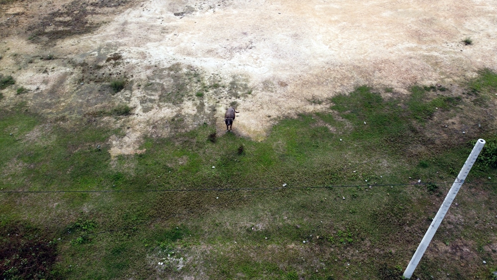 Khu dân cư thiết kế theo tiêu chuẩn công trình hạ tầng kỹ thuật, cấp 4. Diện tích đất sử dụng 2,4ha, gồm các hạng mục: Đường giao thông, san nền, cấp nước, thoát nước mưa, thoát nước thải, cấp điện sinh hoạt, điện chiếu sáng.