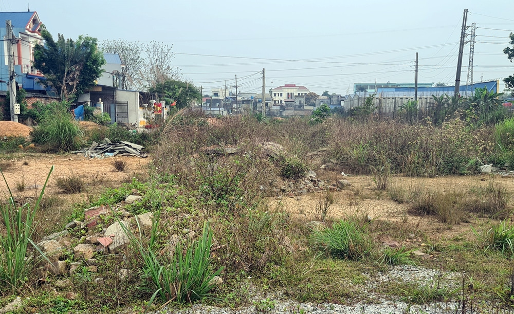 Cỏ dại lẫn phế thải nhếch nhác bên trong khu đất dự án KDC đường Lê Hồng Phong (giai đoạn 2). Tại khu đất thực hiện dự án, hiện không có sự xuất hiện của máy móc, công nhân.