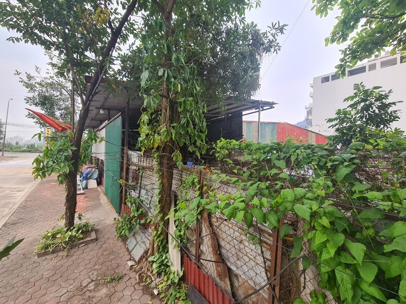 Chủ tịch TP Từ Sơn chỉ đạo kiểm tra xưởng gỗ “mọc” trên đất công Chu tich TP Tu Son chi dao kiem tra xuong go “moc” tren dat cong