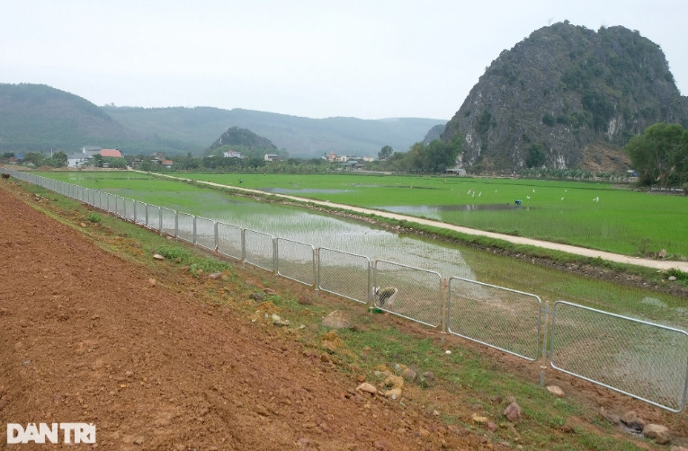 Hàng rào lưới thép đã được lắp đặt dọc tuyến, ngăn chặn người dân, gia súc đi vào đường cao tốc, đảm bảo an toàn giao thông. (Ảnh: Dân Trí).