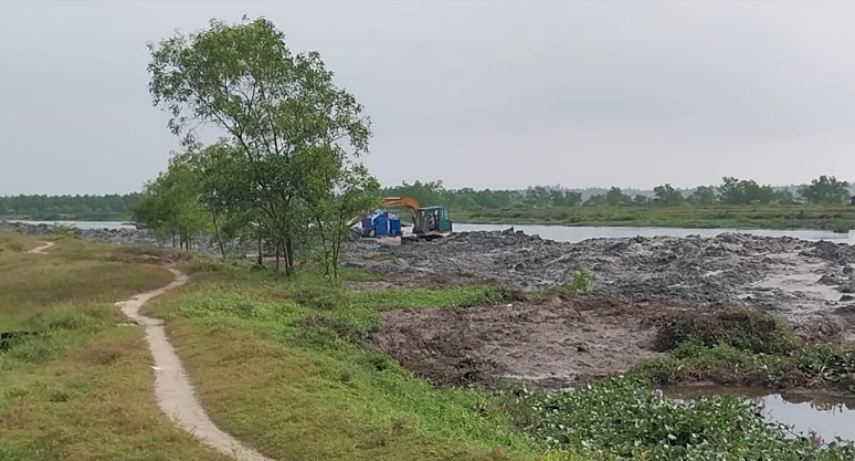 Hiện trường vụ rừng ngập mặn bị san ủi. (Ảnh: PLO).