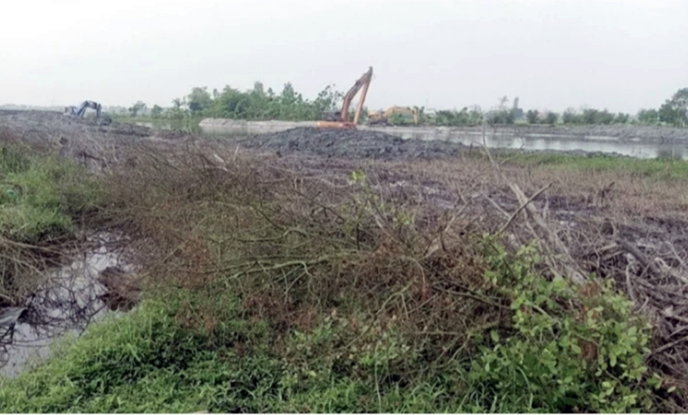 Trước đó, Chi cục kiểm lâm tỉnh này nhận được phản ánh về việc nhiều diện tích rừng tại xã Quảng Phước bị đơn vị nhà thầu thi công bờ kè san ủi, làm gãy nhiều cây bần chua. (Ảnh: VTC News).
