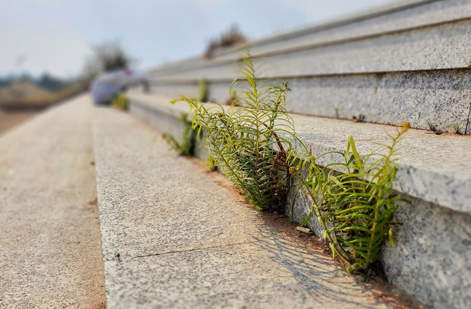 Một số hạng mục hoàn thành trước nhưng vì dự án chậm tiến độ, không được bảo dưỡng thường xuyên nên dần xuống cấp. (Ảnh: Người lao động).
