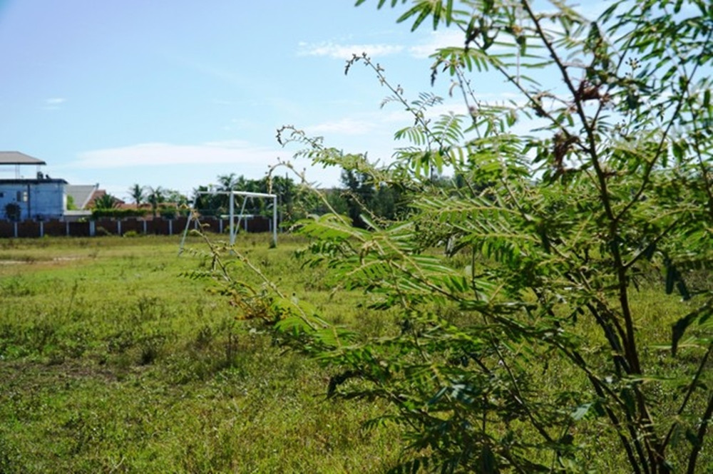 Cỏ dại, cây cối mọc um tùm tại sân bóng thuộc trung tâm văn hóa thể thao tiền tỷ. (Ảnh: Tiền Phong).