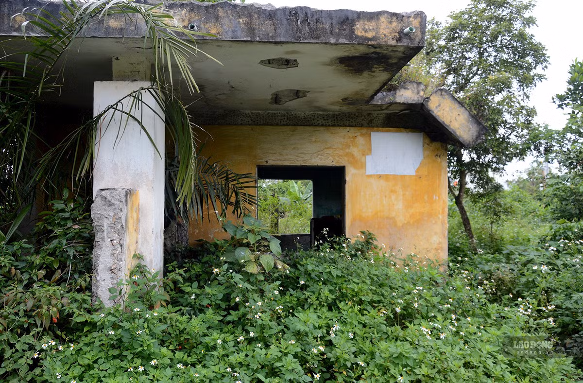 Trao đổi với báo Lao Động, ông Phạm Đình Sáu - Bí thư Chi bộ tổ dân phố 8, phường Nghĩa Chánh cho biết, nhiều năm nay công viên Thiên Bút trở thành tụ điểm tiêm chích ma túy của các con nghiện khiến người dân sống xung quanh công viên rất bất an.