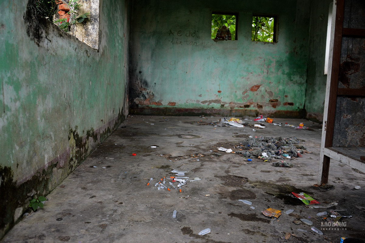 Những căn nhà bên trong khu đất công viên Thiên Bút hoang tàn, nhếch nhác, bao quanh là cây cỏ dại um tùm.