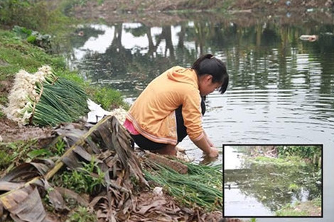 Mat via canh rua rau o ranh nuoc day phan-Hinh-2