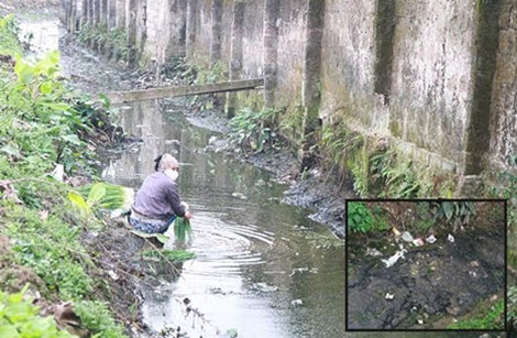 Mat via canh rua rau o ranh nuoc day phan