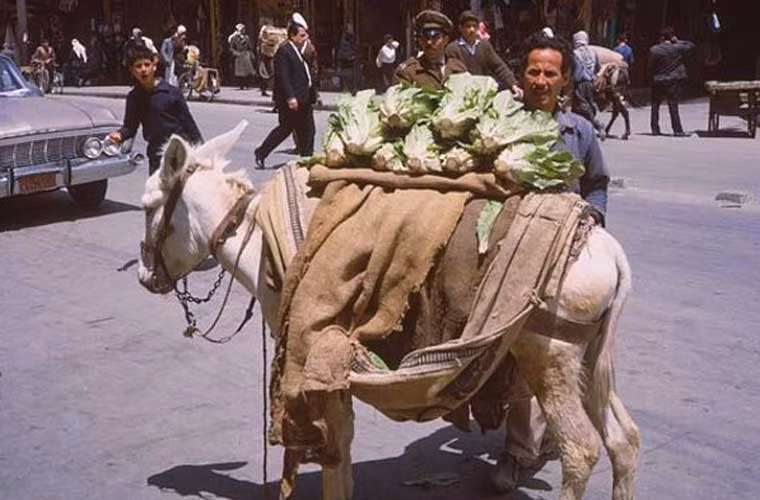 Một người bán rau rong ở Damascus. Ảnh OLA