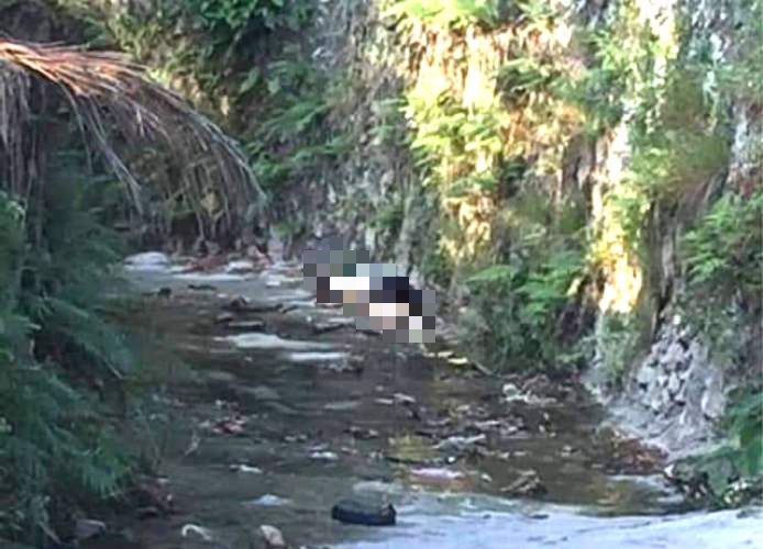 Thi vốn làm nghề chài lưới. sáng 16/9, đối tượng ra con sông gần nhà đặt bẫy điện bắt cá. Trưa cùng ngày, khi đi kiểm tra, Thi bất ngờ phát hiện thi thể anh Bế Ích Hùng tại chính khu vực đặt bẫy điện. Trong tâm trạng hoảng loạn, sợ sự việc bị bại lộ, Thi kéo xác nạn nhân dọc sông khoảng 200m, rồi đưa vào vũng nước nông, nơi có nhiều lau sậy để giấu. Sau đó, Thi chạy về nhà lấy dao, rồi quay lại phân xác nạn nhân cho vào bao tải với mục đích tiêu hủy chứng cứ và tạo hiện trường giả. (Ảnh minh họa, nguồn Internet)