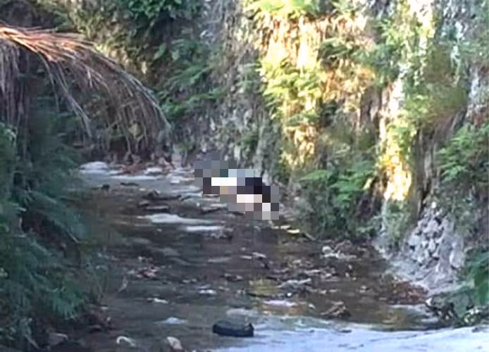 Thi vốn làm nghề chài lưới. sáng 16/9, đối tượng ra con sông gần nhà đặt bẫy điện bắt cá. Trưa cùng ngày, khi đi kiểm tra, Thi bất ngờ phát hiện thi thể anh Bế Ích Hùng tại chính khu vực đặt bẫy điện. Trong tâm trạng hoảng loạn, sợ sự việc bị bại lộ, Thi kéo xác nạn nhân dọc sông khoảng 200m, rồi đưa vào vũng nước nông, nơi có nhiều lau sậy để giấu. Sau đó, Thi chạy về nhà lấy dao, rồi quay lại phân xác nạn nhân cho vào bao tải với mục đích tiêu hủy chứng cứ và tạo hiện trường giả. (Ảnh minh họa, nguồn Internet)