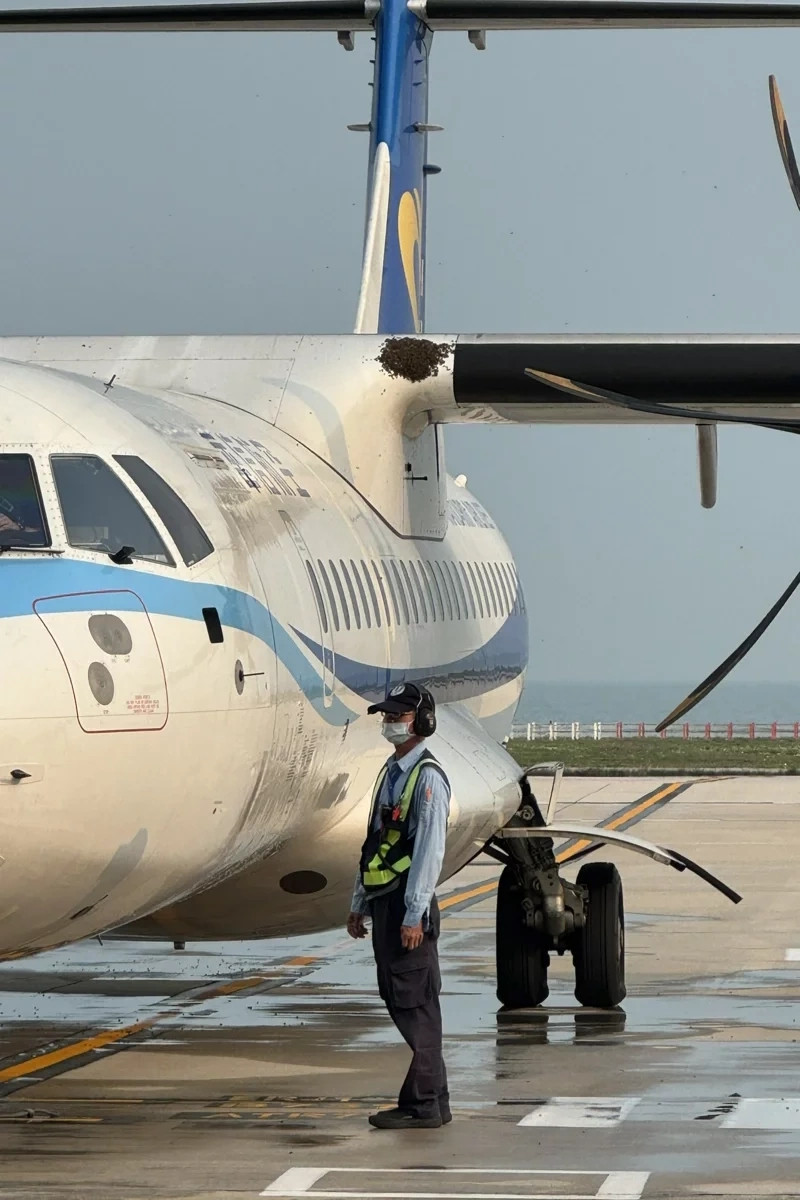 May bay khong the cat canh vi...dan ong 