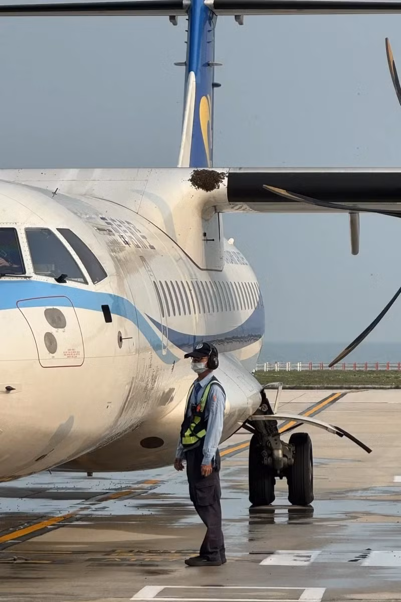 May bay khong the cat canh vi...dan ong 