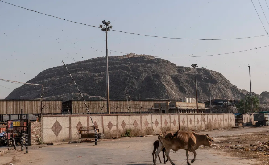 Chay bai rac khong lo, khoi doc bao trum thu do An Do-Hinh-3