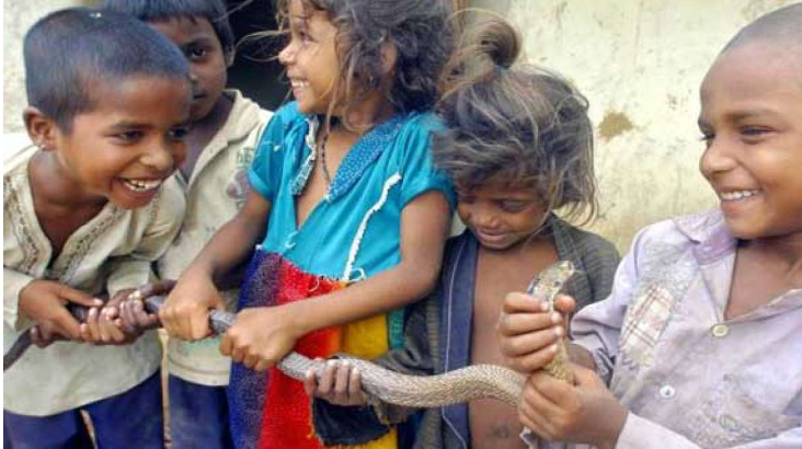 Bộ tộc Vali không ở một nơi cố định quá 6 tháng, có mối gắn bó đặc biệt với loài rắn, đặc biệt là rắn hổ mang.