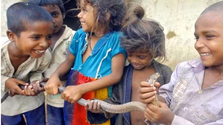 Cuoc song bo toc an ngu cung ran doc gay soc-Hinh-5