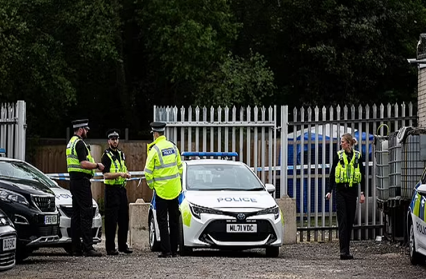 Hai hung nguoi dan ong bi cho du can tu vong