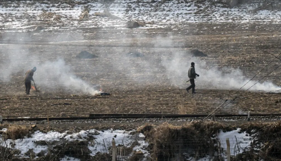 Những người nông dân Triều Tiên làm việc trên cánh đồng.