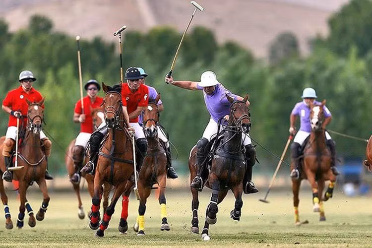 8. Polo không chỉ là một môn thể thao của phương Tây. Nó đã được chơi ở Iran vào đầu thế kỷ thứ 6 trước Công nguyên, chủ yếu là để huấn luyện cho các kỵ binh. Ảnh: TT.