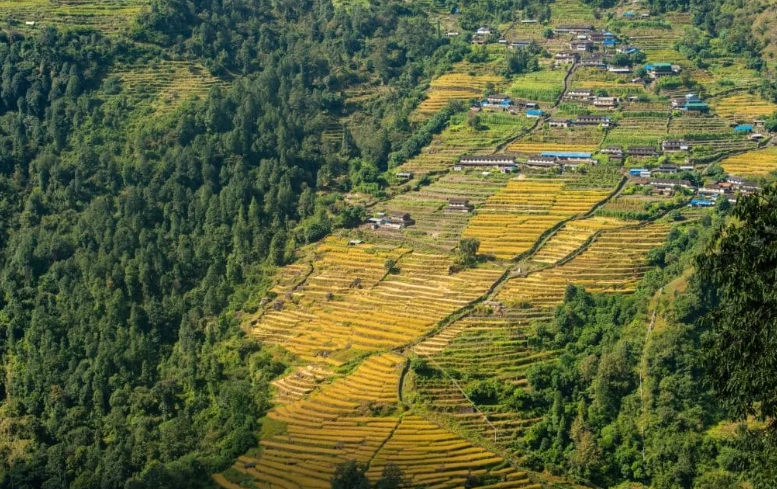 5. Làng Chomrong. Từ những đỉnh núi cao như Annapurna III, Annapurna South, Hiuchuli và Machhapuchhre, du khách sẽ được chiêm ngưỡng phong cảnh thiên nhiên ấn tượng của ngôi làng này.