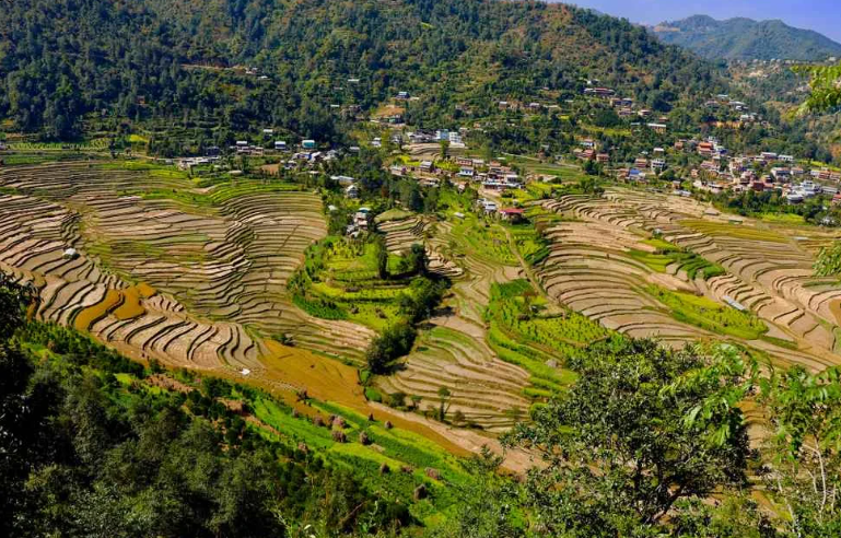 2. Balthali là một ngôi làng nhỏ cách thủ đô Kathmandu 40 km, nằm giữa Panauti và Khopasi. Chuyến đi tới làng Balthali thích hợp cho kỳ nghỉ ngắn ngày. Nếu bạn yêu thích cảnh bình minh, bạn không nên bỏ lỡ cảnh bình minh ngoạn mục ở làng Balthali. Hơn nữa, những đỉnh núi cao như Manaslu với tầm nhìn ra Everest chắc chắn sẽ khiến bạn kinh ngạc.