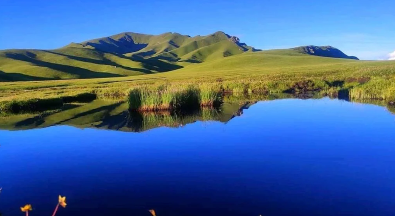 1. Badimalika: Badimalika là một trong những ngôi làng xinh đẹp ít được du khách biết đến ở Nepal. Ngôi làng được đặt theo tên của ngôi đền Badimalika - nằm ở độ cao 4.200 mét. Phong cảnh thiên nhiên ở làng Badimalika rất ấn tượng, với những khu rừng rậm rạp, nhiều thảm thực vật, động vật quý hiếm... (Ảnh: SN)