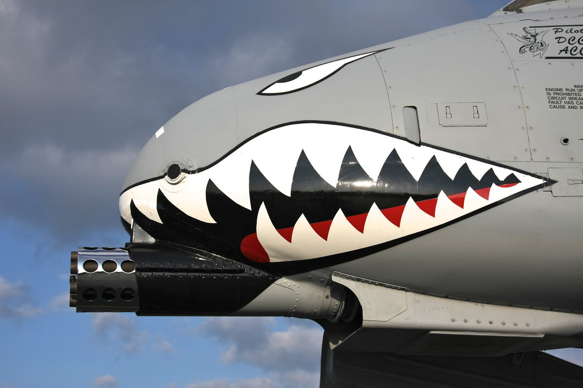 Loại vũ khí thường thấy nhất của cường kích A-10 Thunderbolt II lại là một khẩu pháo 30mm nòng xoay ở mũi máy bay với cơ số đạn dự trữ lên tới 1174 viên. Nguồn ảnh: Pinterest.