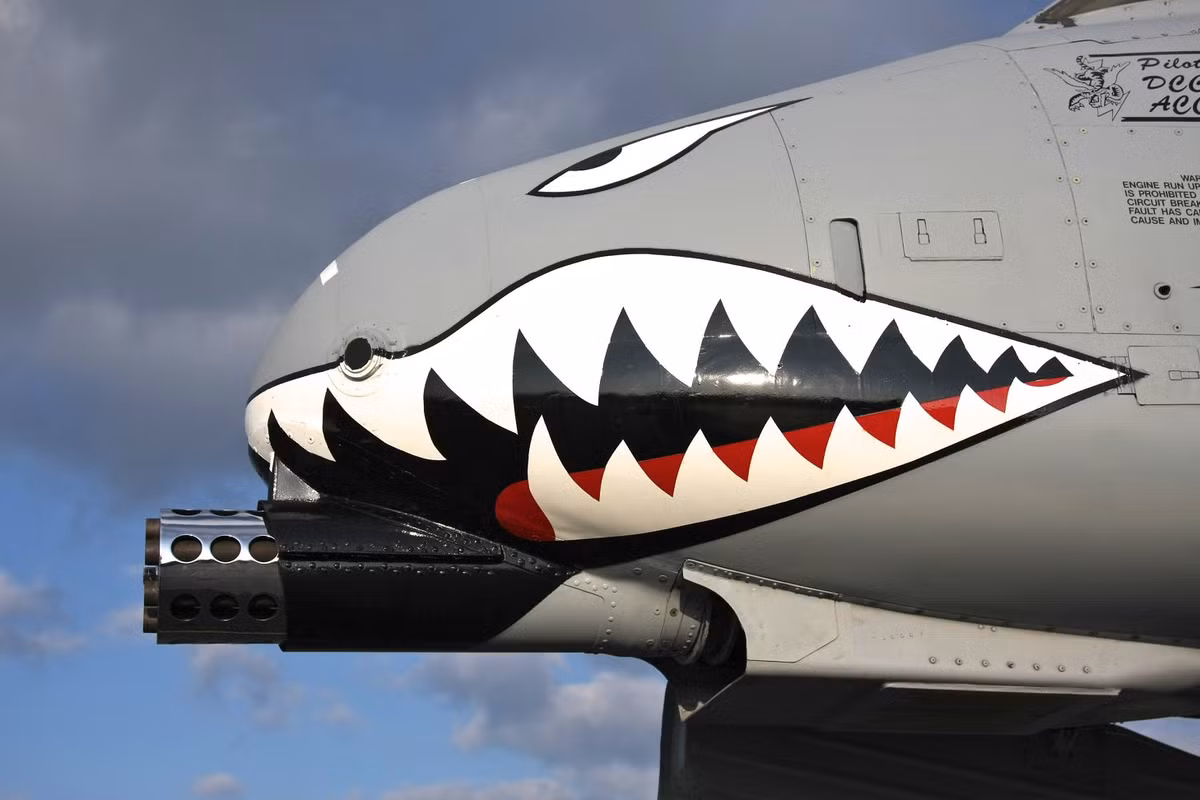 Loại vũ khí thường thấy nhất của cường kích A-10 Thunderbolt II lại là một khẩu pháo 30mm nòng xoay ở mũi máy bay với cơ số đạn dự trữ lên tới 1174 viên. Nguồn ảnh: Pinterest.