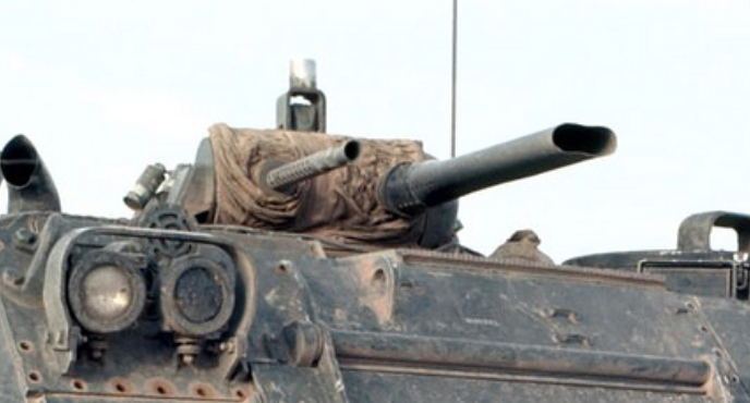 Lần đầu tiên xuất hiện trong Chiến tranh Việt Nam bắt đầu từ năm 1962, thiết giáp M132 trong cùng năm đó chỉ thực hiện duy nhất bốn nhiệm vụ. Tuy nhiên, trong mọi nhiệm vụ, nó đã tỏ ra là một thiết giáp hiệu quả, cơ động tốt và khả năng phun lửa rất xa.