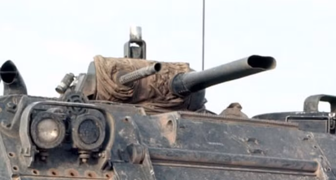 Lần đầu tiên xuất hiện trong Chiến tranh Việt Nam bắt đầu từ năm 1962, thiết giáp M132 trong cùng năm đó chỉ thực hiện duy nhất bốn nhiệm vụ. Tuy nhiên, trong mọi nhiệm vụ, nó đã tỏ ra là một thiết giáp hiệu quả, cơ động tốt và khả năng phun lửa rất xa.