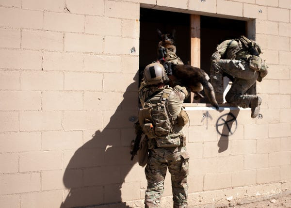 Trong vụ tấn công trùm khủng bố IS vừa được quân đội Mỹ tiến hành hôm 26/10 vừa rồi, chú chó nghiệp vụ của quân đội Mỹ đã bị thương nhẹ nhưng hiện đang trong tình trạng hồi phục tốt. Nguồn ảnh: QQ.