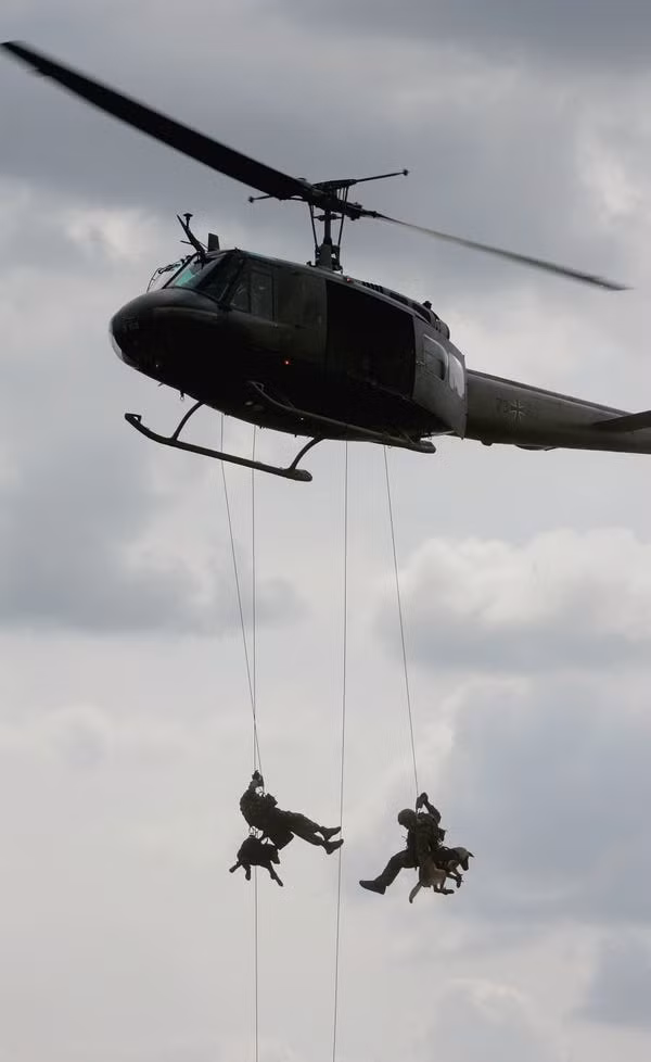 Với khả năng nghe lệnh rất tốt, thể hình nhỏ gọn, tốc độ cao,... chó nghiệp vụ vẫn được sử dụng trong những nhiệm vụ nguy hiểm bao gồm cả những nhiệm vụ đột nhập, ám sát. Nguồn ảnh: QQ.