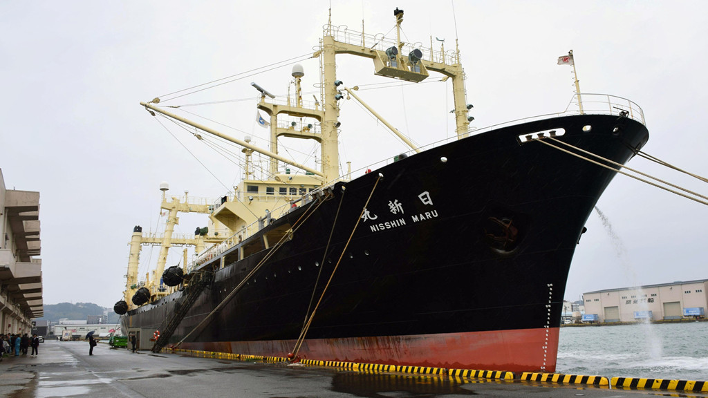 Lãnh đạo hãng Kyodo Senpaku, ông Eiji Mori đã ca ngợi tàu săn cá voi trở về cùng thành quả "tốt hơn kỳ vọng" dù thủy thủ đoàn không có nhiều kinh nghiệm săn cá voi trong vùng biển được quy hoạch. "Chúng tôi lo ngại họ không bắt được gì nhưng kết quả rất tốt. Chúng tôi sẽ nghiên cứu kỹ kết quả này và lên kế hoạch cho mùa kế tiếp", Mori cho biết. Ảnh: AP.