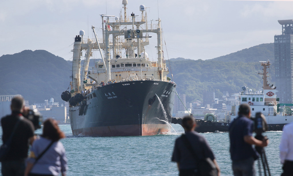 Mua san ca voi dau tien sau 31 nam cua Nhat Ban