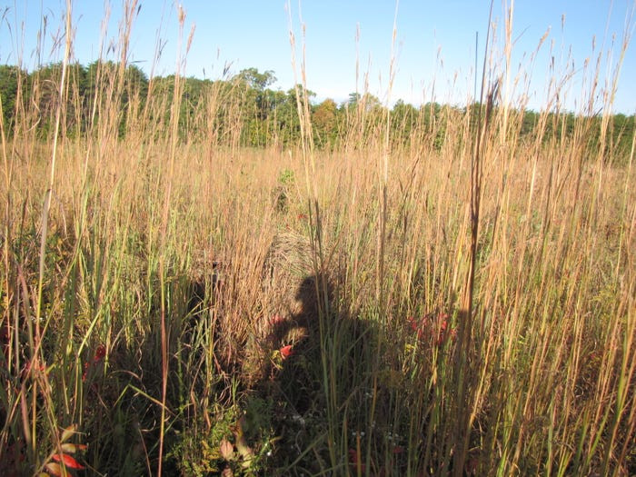 Đôi khi, chính những giảng viên bắn tỉa của quân đội Mỹ cũng bất ngờ với kỹ năng nguỵ trang của các học viên khi mà họ phải tiếp cận ở khoảng cách dưới một mét mới có thể nhận ra "đồng nghiệp" của mình. Nguồn ảnh: BI.