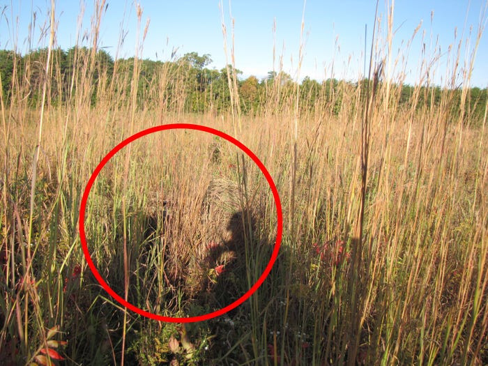 Một vài sáng kiến trong nguỵ trang của các học viên bắn tỉa này thậm chí còn được đưa vào giáo trình để đào tạo cho các lứa lính bắn tỉa kế cận. Nguồn ảnh: BI.