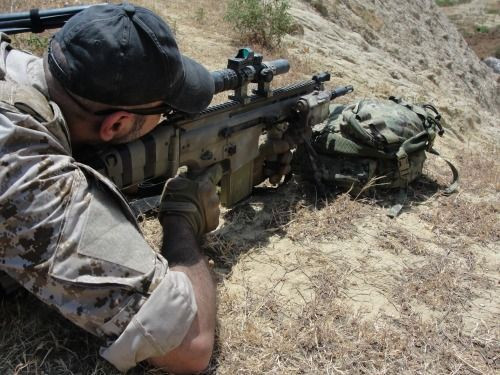 Trọng lượng tương ứng 3,58kg, 3,49kg và 3,72kg, tầm bắn hiệu quả với các biến thể là 600, 300 và 800 mét, dùng cỡ đạn 7.62x51mm của NATO hoặc 7.62x39mm của Nga