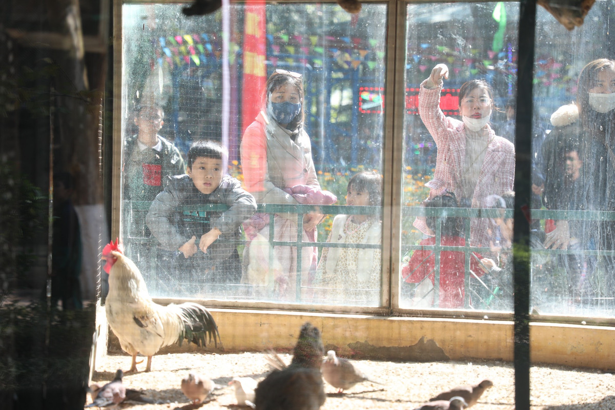 Các khu vực trò chơi, khu nuôi nhốt thú cũng luôn trong tình trạng đông người.