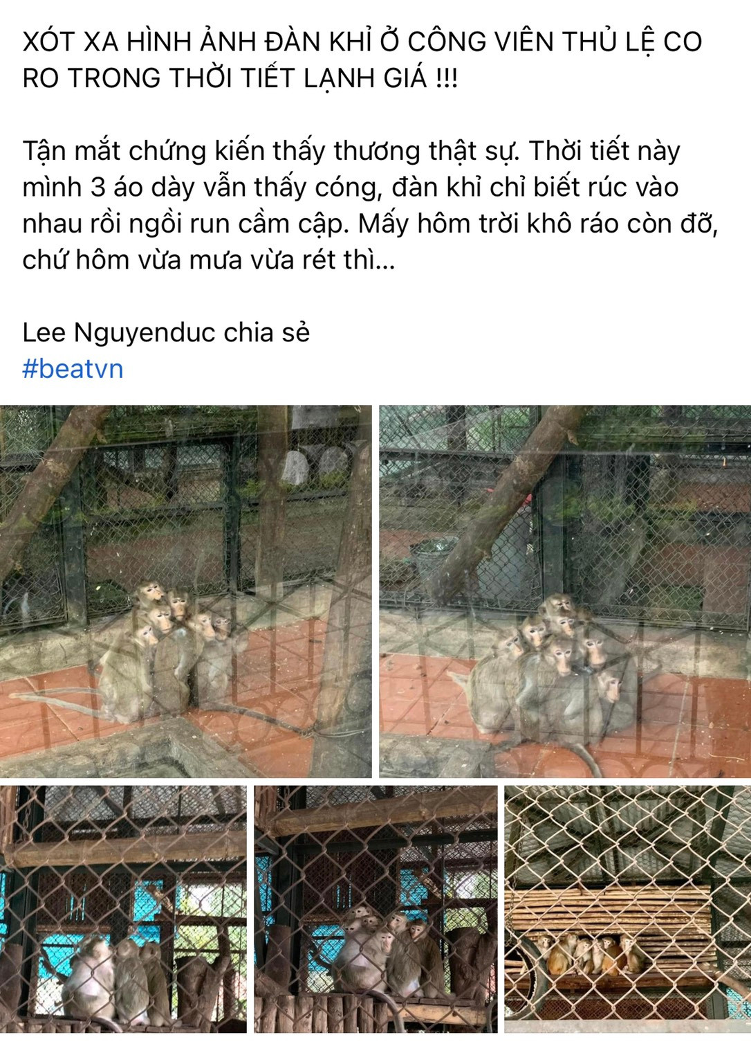 Bài viết được đăng tải lên mạng xã hội. Ảnh chụp màn hình