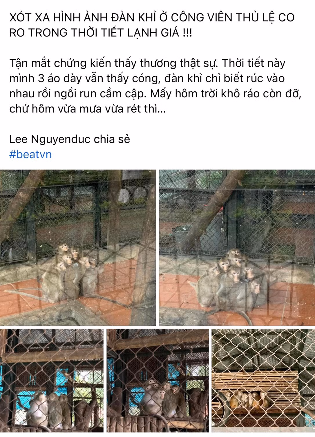 Bài viết được đăng tải lên mạng xã hội. Ảnh chụp màn hình