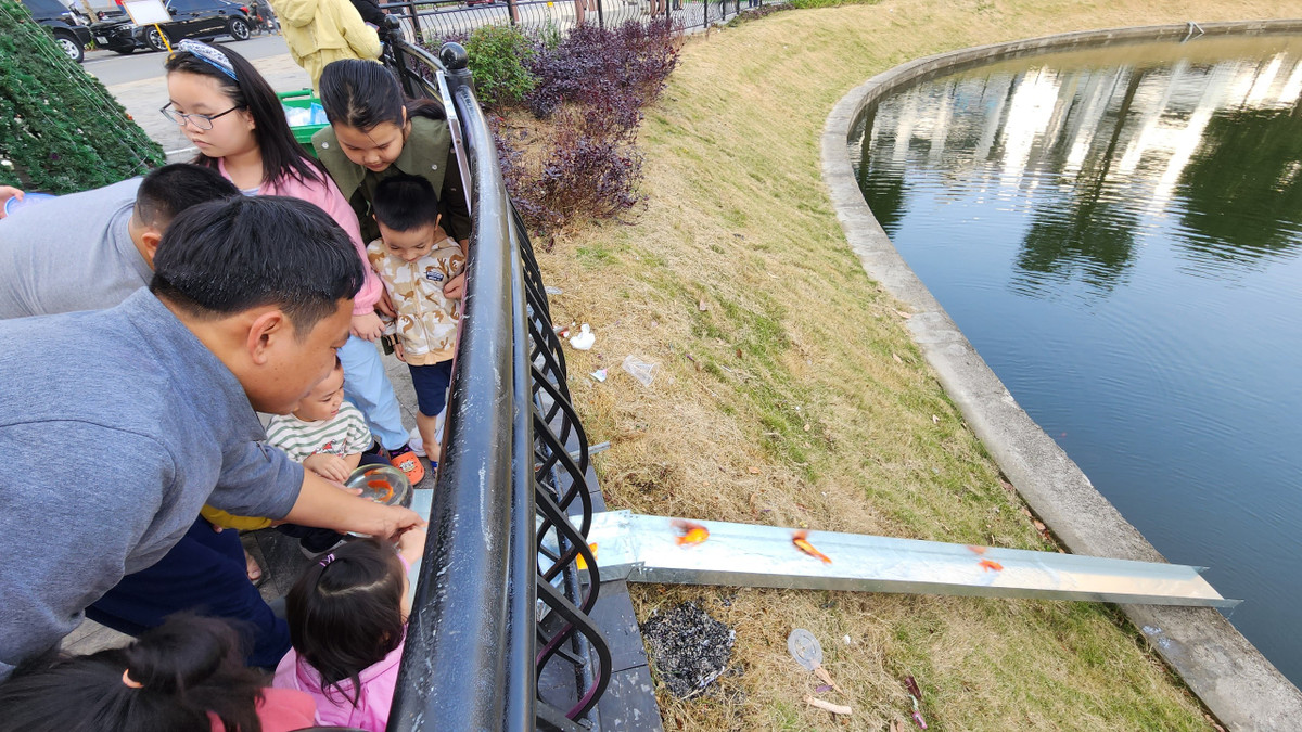 Việc thả cá qua máng nhôm sẽ giúp cá an toàn, không bị va chạm mạnh với nước.