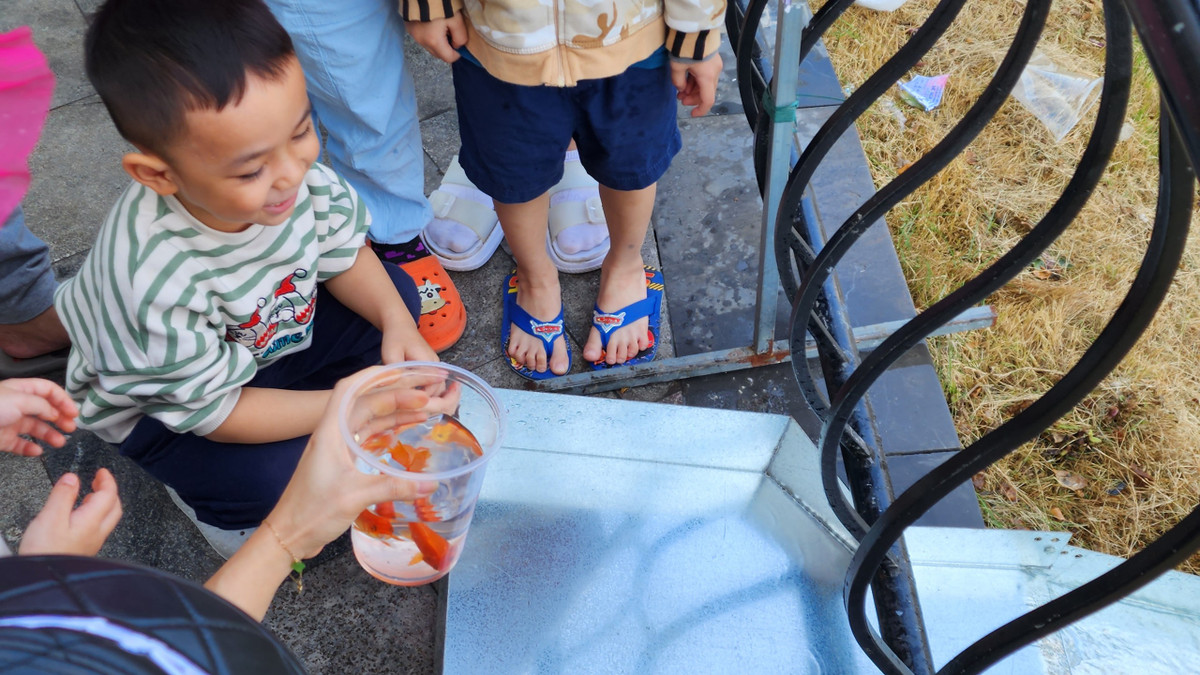 Các em nhỏ háo hức được thả cá xuống hồ.