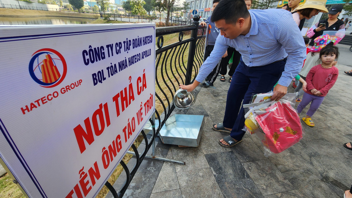 Với mô hình thả cá này, chung cư Hateco Apollo nhận được nhiều lời khen.