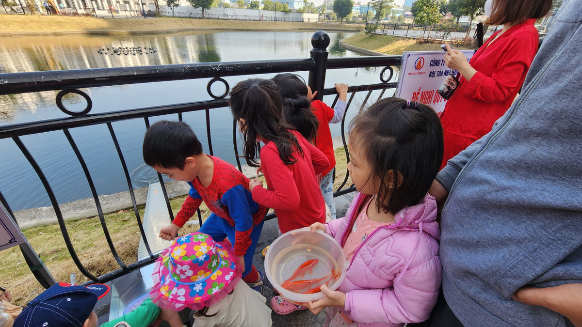 Không chỉ thả cá của nhà mình, nhiều em nhỏ còn nán lại để thả cá của nhà hàng xóm.