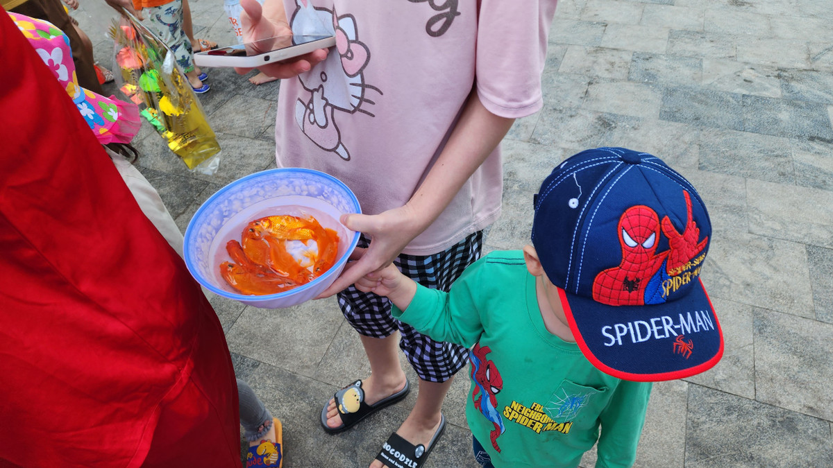 Các em nhỏ và phụ huynh xếp hàng chờ đợi thả cá, không có cảnh chen lấn, xô đẩy.