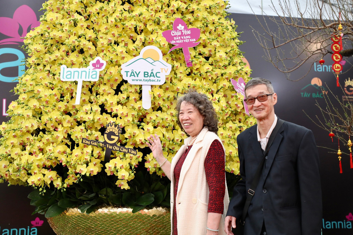 Chậu lan hồ điệp khổng lồ thu hút sự quan tâm của khách tham quan.