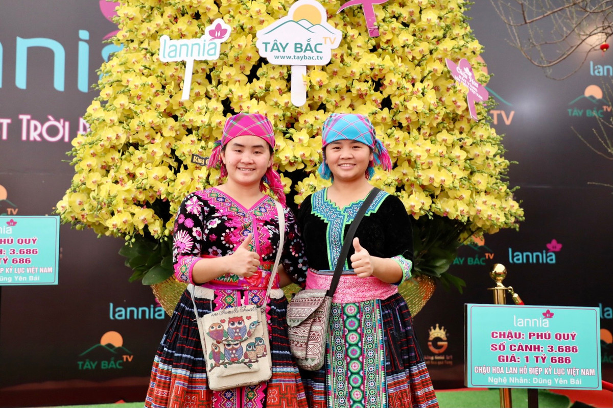 Chủ chậu lan này cho biết anh sẽ bày bán đến ngày 30 Tết và không hạ giá. Nếu không có ai mua anh sẽ mang về nhà chơi Tết. Mong muốn của anh là được trưng bày chậu lan này lâu nhất có thể, quảng bá hình ảnh lan hồ điệp đến với mọi người.